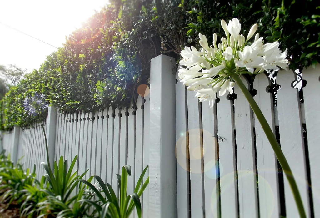 White picket fence in front of a home garden
